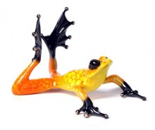 frogman sunbather