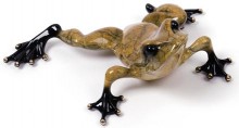 frogman toady