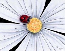 michael godard white flower lady bug