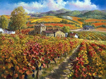 sam park red vineyard of napa valley