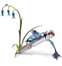 frogman bluebell