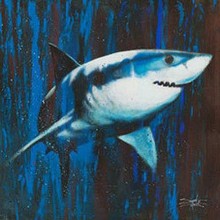 stephen fishwick silent killer shark