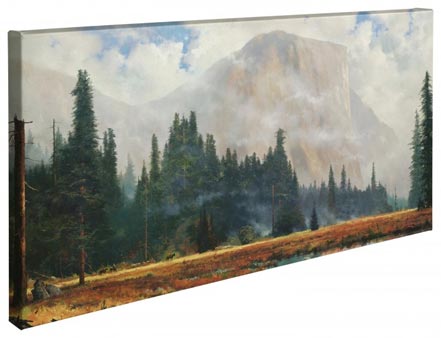 Yosemite Meadow – 16" x 31" Gallery Wrapped Canvas