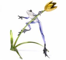 frogman belle fleur