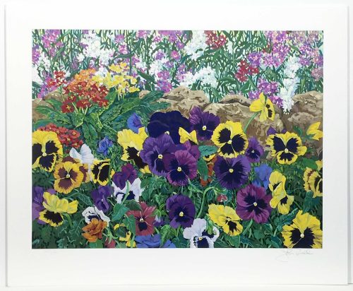 Purple-Pansies-John-Powell