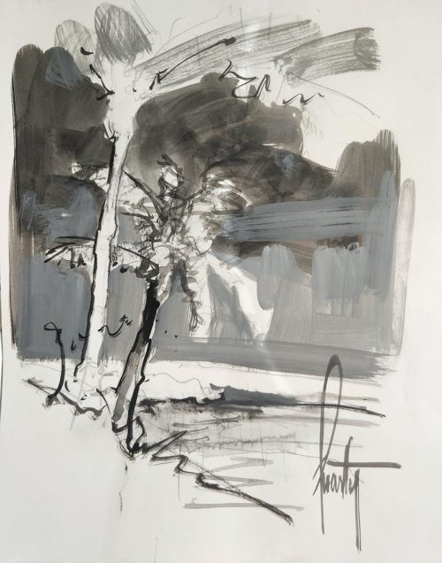 steve quartly coastline study