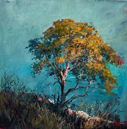 steve quartly transition to light