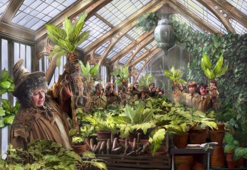 thomas kinkade harry potter hogwarts greenhouse